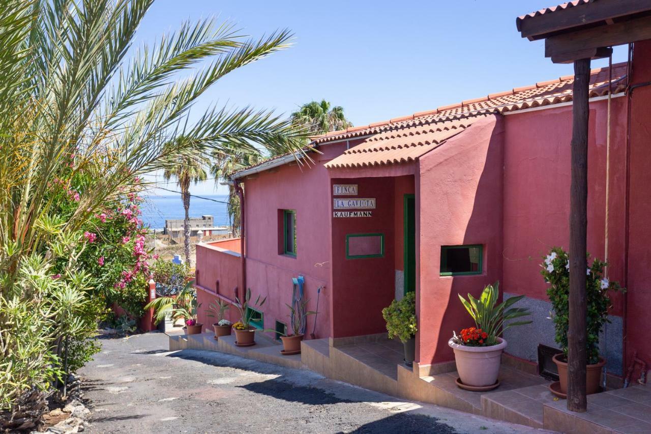 Finca La Gaviota - Maxi Икод-де-лос-Винос Экстерьер фото