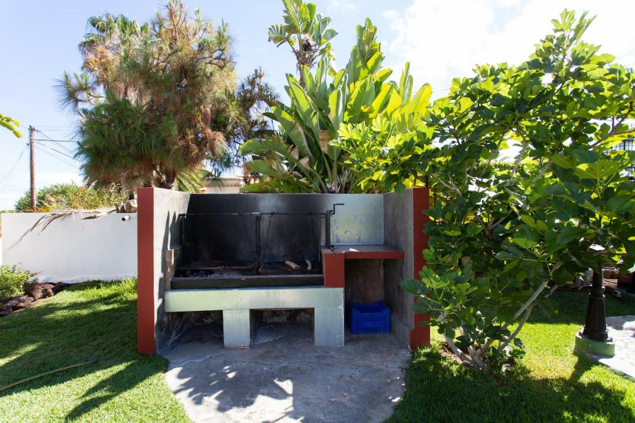 Finca La Gaviota - Maxi Икод-де-лос-Винос Экстерьер фото